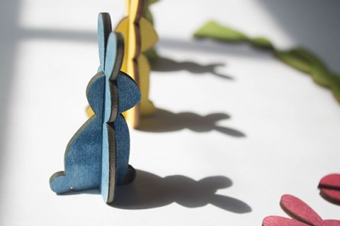 052313shallowkeybunny