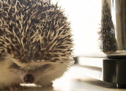 photo 111: assignment 6, unusual angle