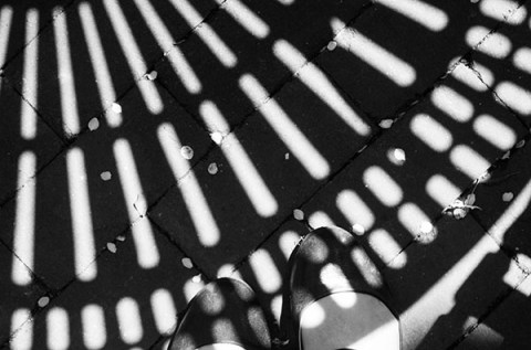 091613shadowtablespring