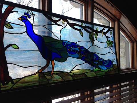 021614suzannespeacock